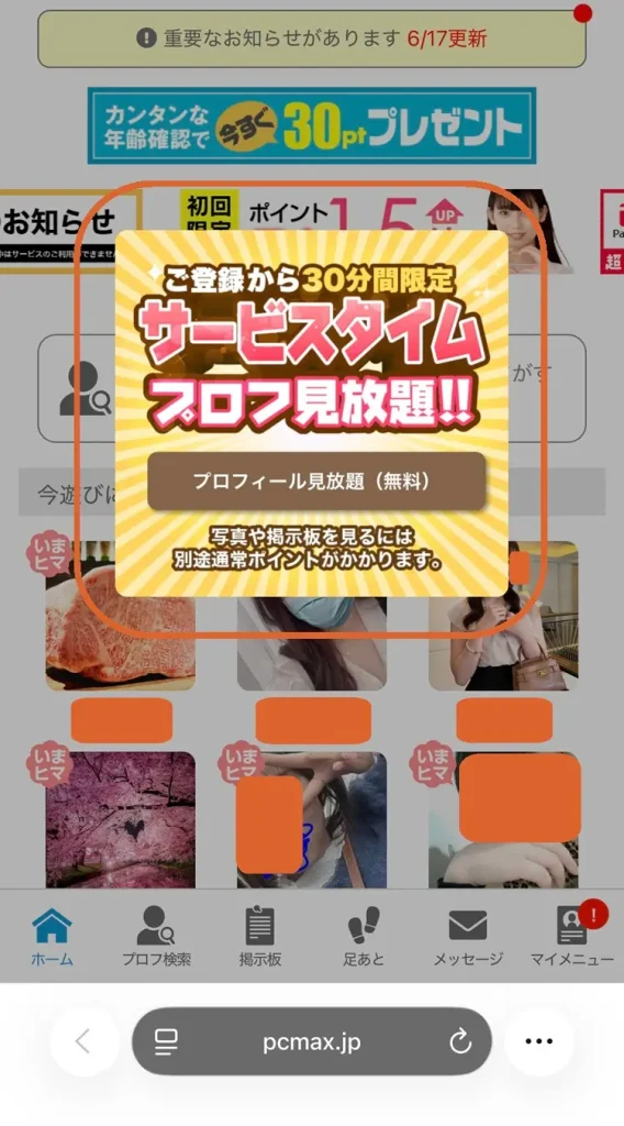 登録後30分はプロフ見放題